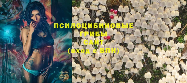 мяу мяу мука Аркадак