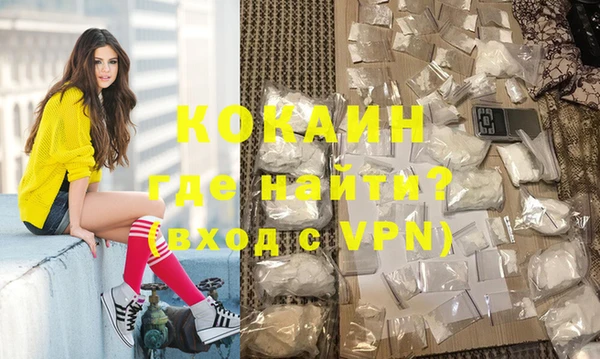 гашик Арсеньев