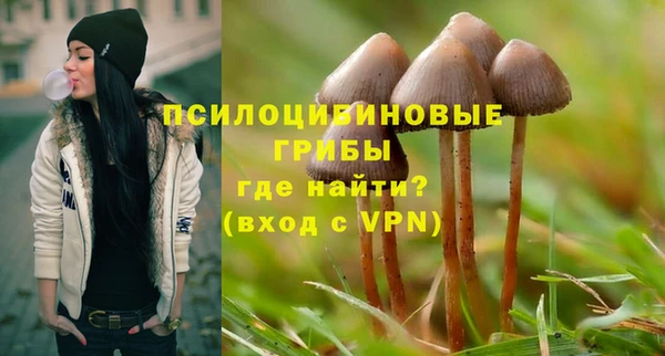 трава Балахна