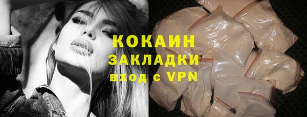 гашик Арсеньев