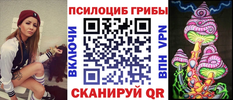 Купить Пермь Псилоцибиновые грибы мицелий